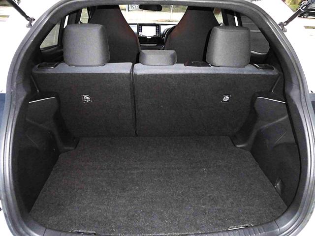 ヤリス（新潟県上越市）