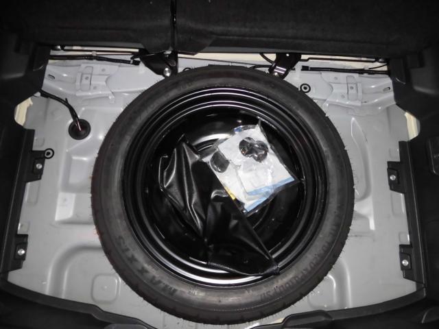 ヤリス（新潟県上越市）