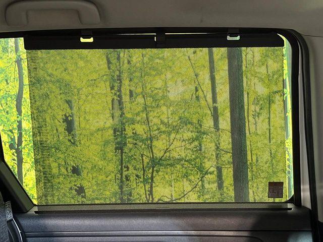 シエンタ（新潟県新潟市南区）