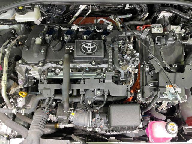 カローラクロス（新潟県長岡市）画像19