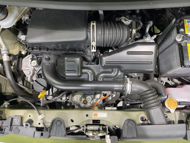 タフト（新潟県長岡市）