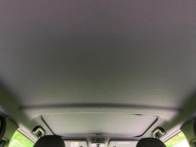 タフト（新潟県長岡市）