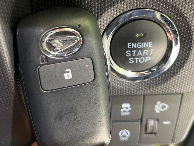 タフト（新潟県長岡市）