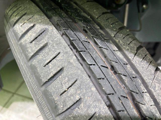 タント(新潟県長岡市)