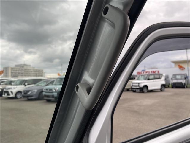 キャリイトラック(新潟県柏崎市)