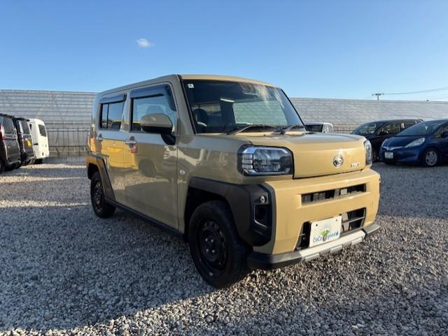 タフト（新潟県新潟市江南区）