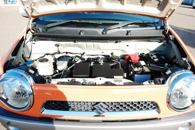 ハスラー(新潟県上越市)