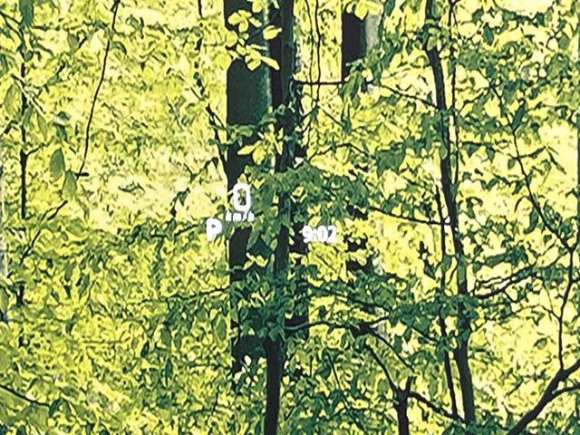 スペーシアギア（新潟県新潟市東区）画像52