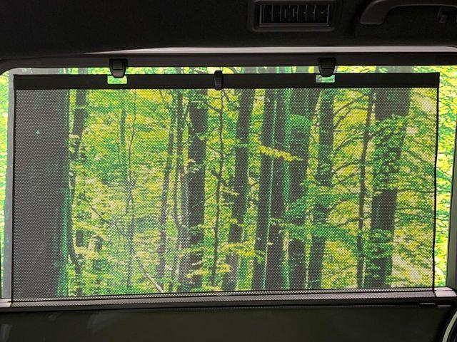 ステップワゴン(新潟県長岡市)