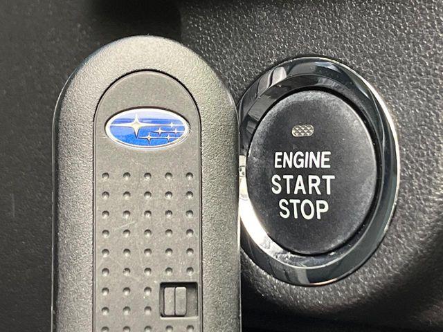 ステラ（新潟県新潟市南区）