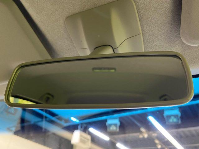 ステラ（新潟県新潟市南区）