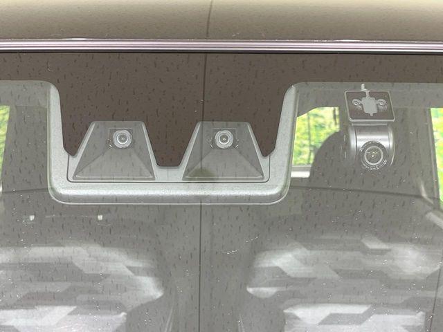 タフト（新潟県長岡市）画像6