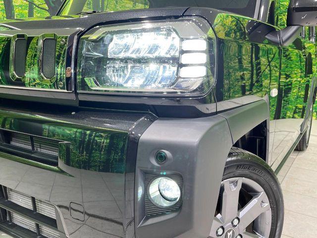 タフト（新潟県長岡市）画像12