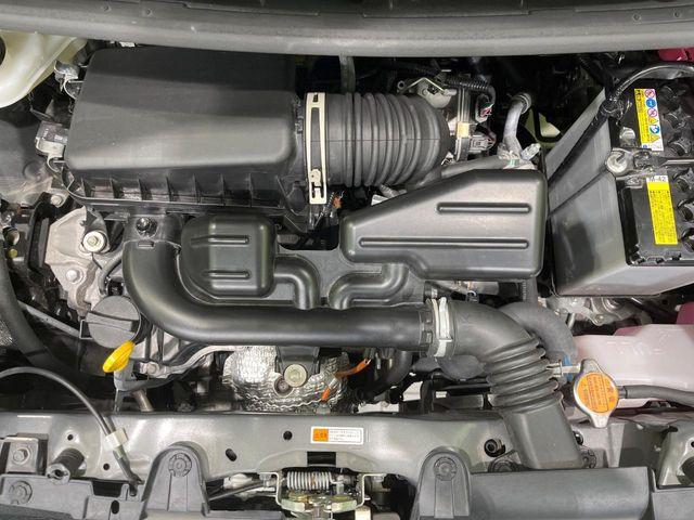 タフト（新潟県長岡市）画像18