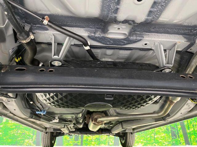 タフト（新潟県長岡市）画像19