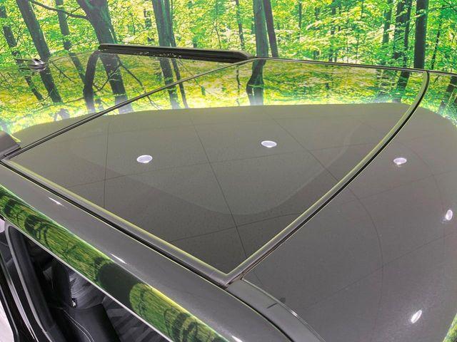 タフト（新潟県長岡市）画像23