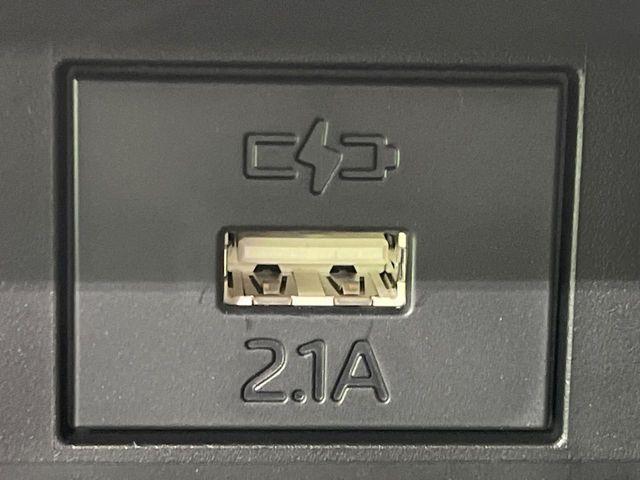 タフト（新潟県長岡市）画像34