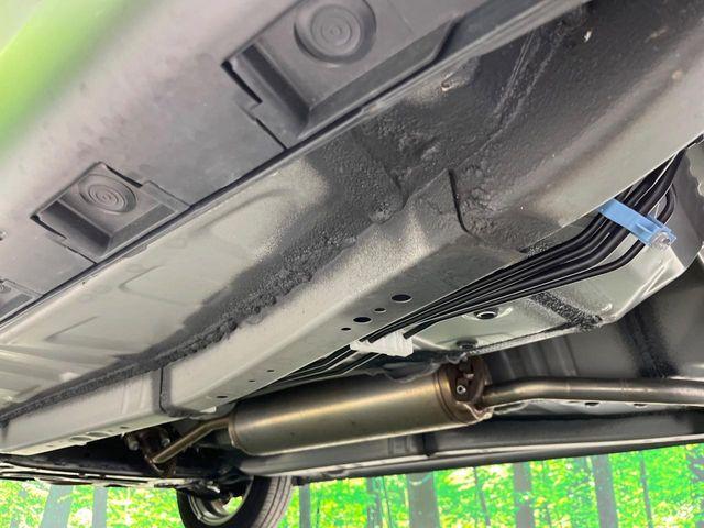 タフト（新潟県長岡市）画像35