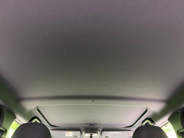 タフト（新潟県長岡市）画像38