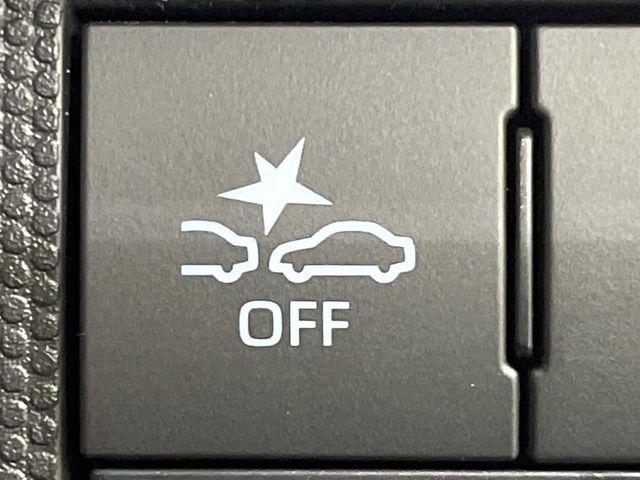 タフト（新潟県長岡市）画像41