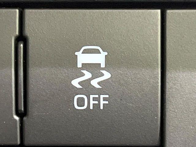 タフト（新潟県長岡市）画像42