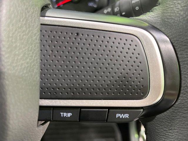 タフト（新潟県長岡市）画像47