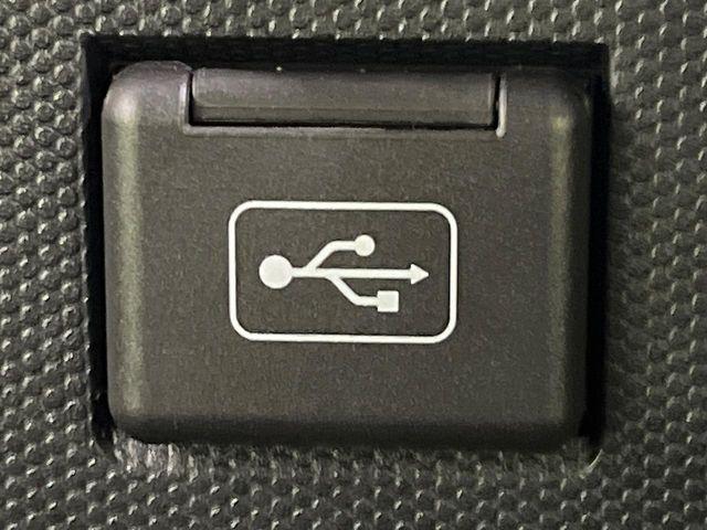 タフト（新潟県長岡市）画像56