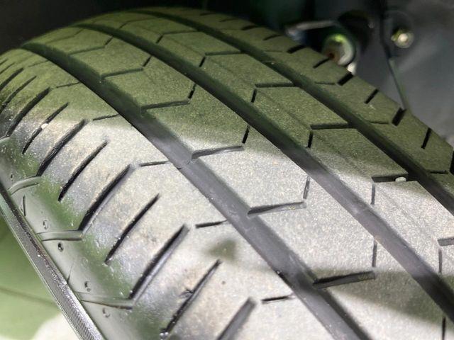 タフト（新潟県長岡市）画像61