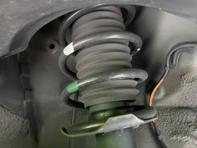 タフト（新潟県長岡市）画像62