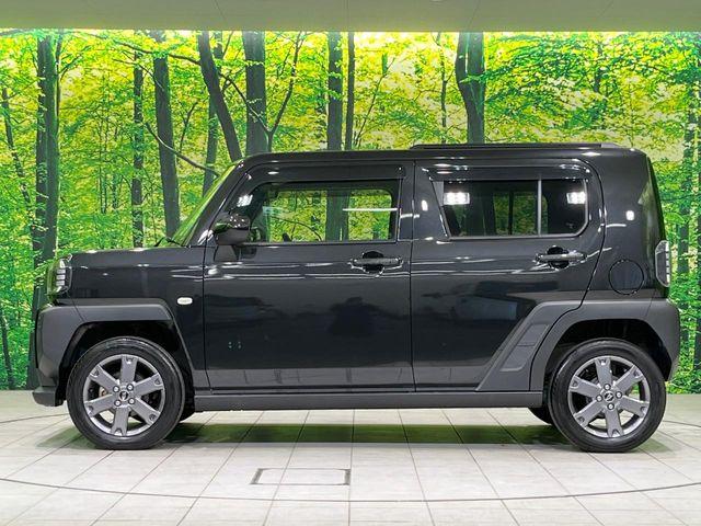 タフト（新潟県長岡市）画像66