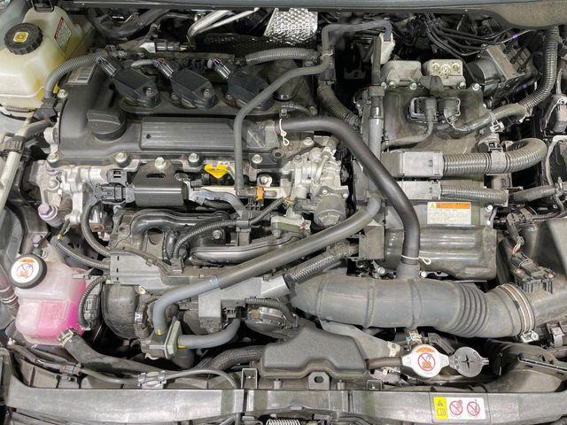 ヤリス（新潟県長岡市）画像18