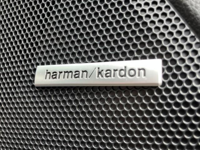 レヴォーグ（新潟県燕市）画像23