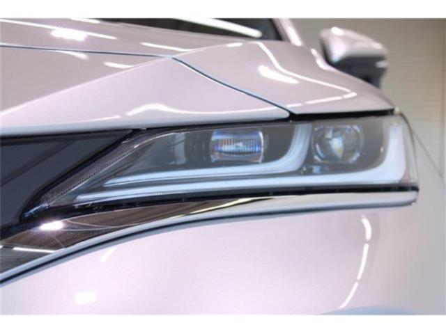 ハリアー（新潟県新潟市東区）画像16