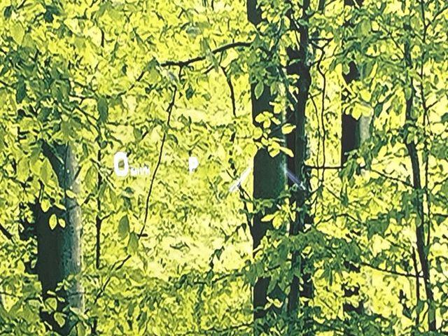 ハリアー（新潟県新潟市東区）画像50