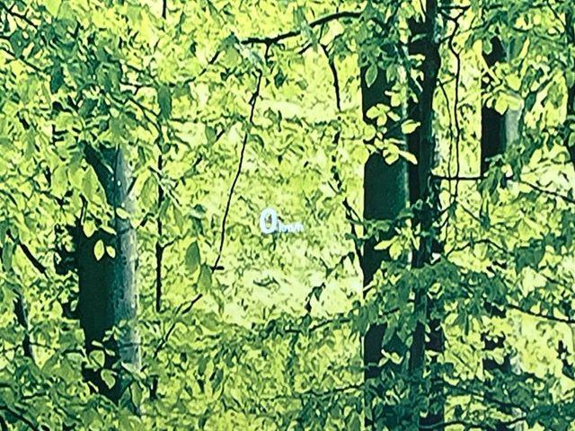 CX-5（新潟県新潟市東区）画像58