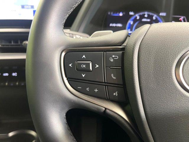 レクサスUX（新潟県新潟市東区）