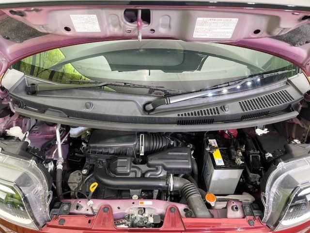 タント（新潟県新潟市東区）