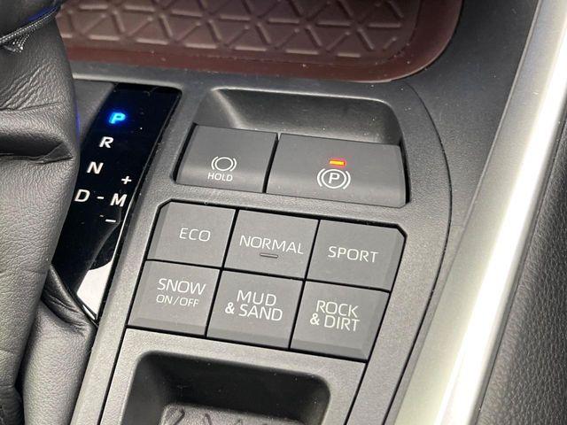 ＲＡＶ４（新潟県新潟市東区）