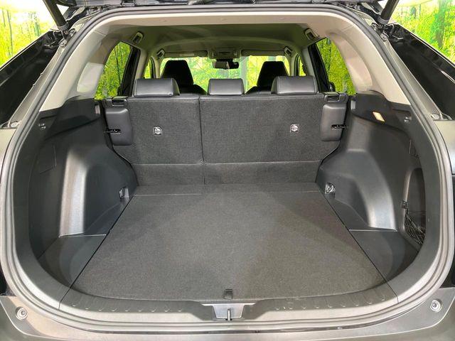 ＲＡＶ４（新潟県新潟市東区）