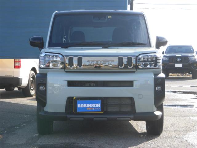 タフト（新潟県新潟市秋葉区）