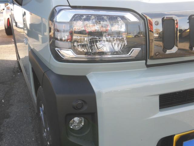 タフト（新潟県新潟市秋葉区）