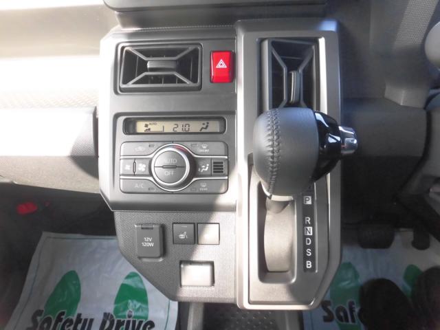 タフト（新潟県新潟市秋葉区）