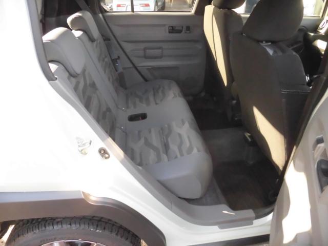 タフト（新潟県新潟市秋葉区）