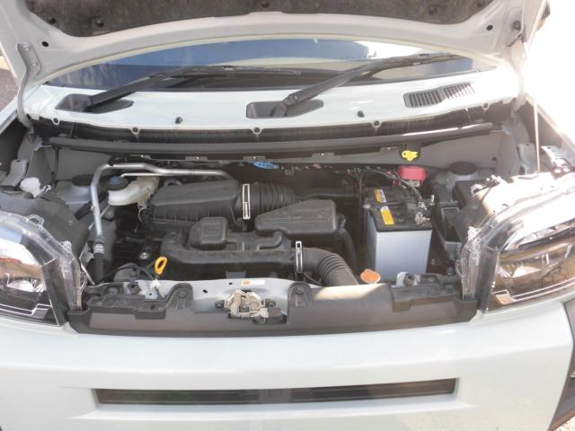 タフト（新潟県新潟市秋葉区）