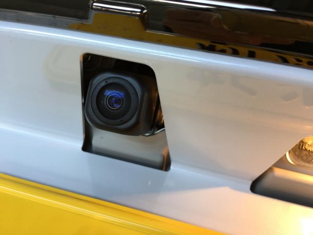 タフト（新潟県新潟市西区）