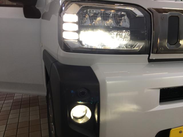 タフト（新潟県新潟市西区）