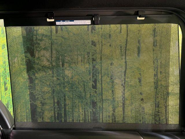 ヴォクシー（新潟県新潟市東区）