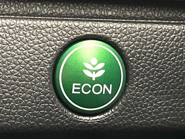 フィット（新潟県新潟市東区）