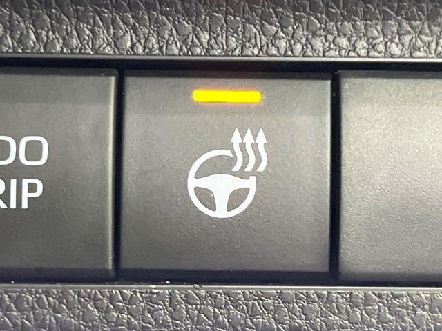 ＲＡＶ４（新潟県長岡市）画像5