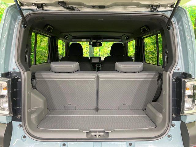 タフト（新潟県長岡市）画像11